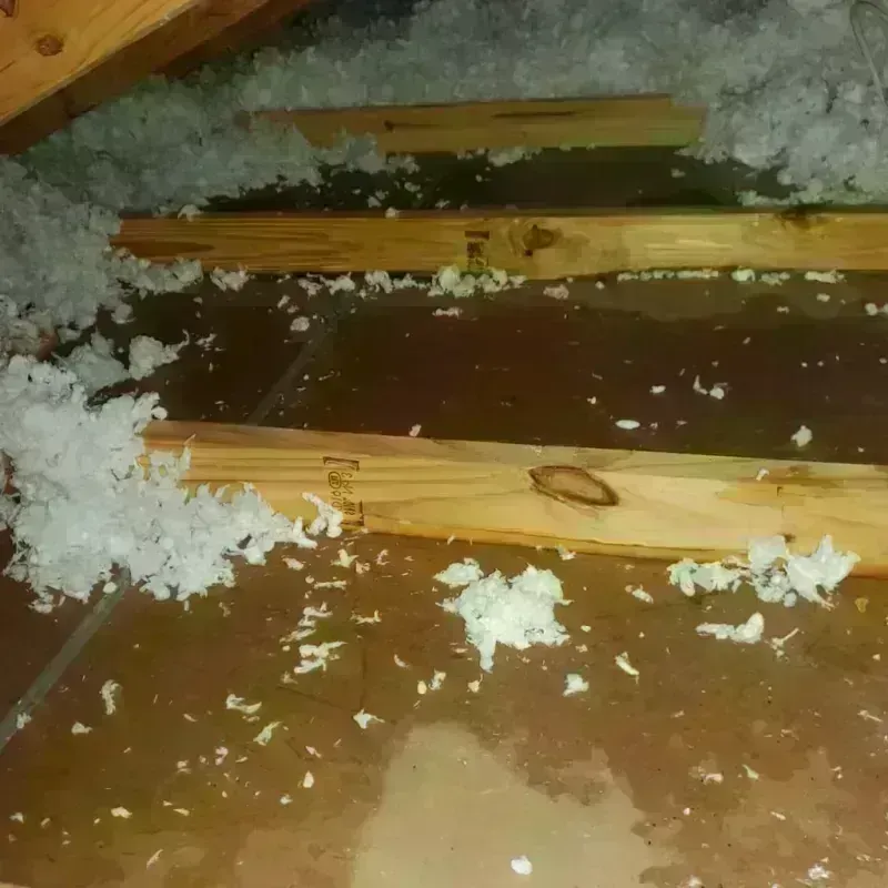 Attic Water Damage in Canyon City, OR