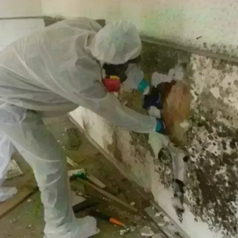 Mold Remediation and Removal in Canyon City, OR