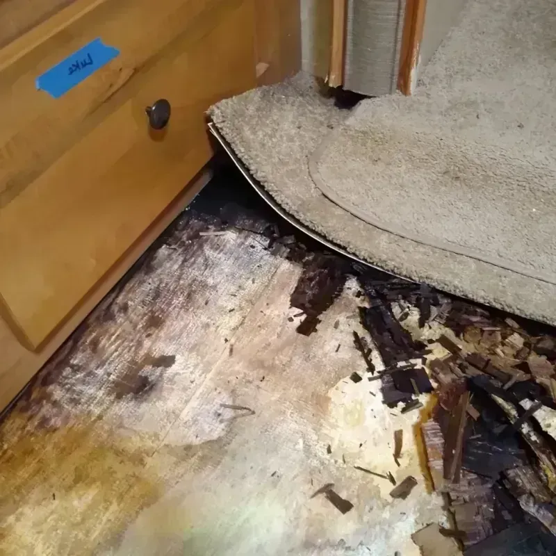 Wood Floor Water Damage in Canyon City, OR